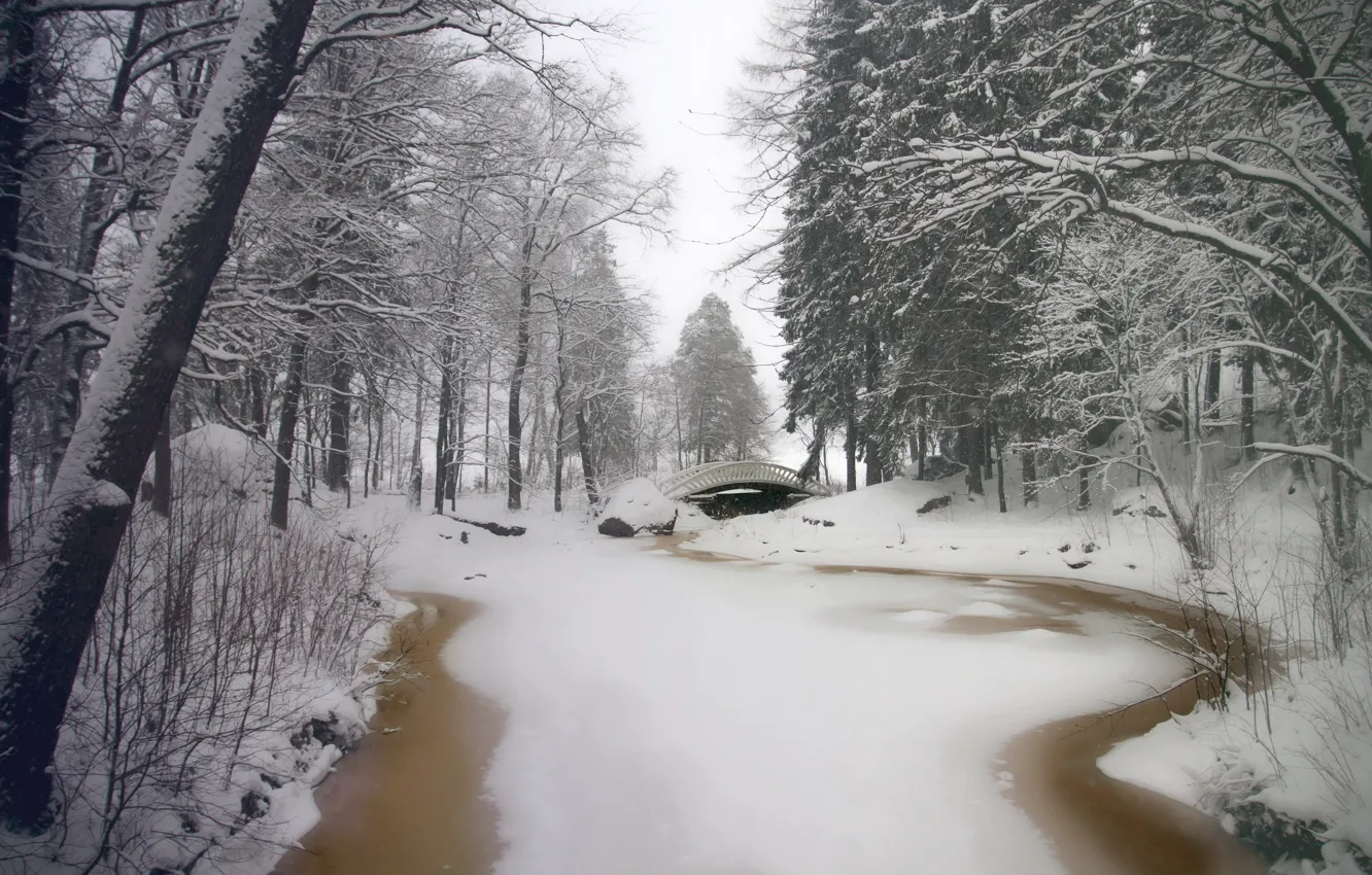 Фото обои зима, снег, деревья, мост, парк, река