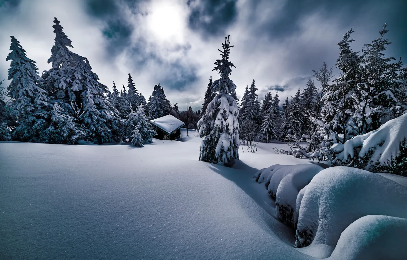 Фото обои зима, снег, деревья, пейзаж, природа, дом, ели, сугробы