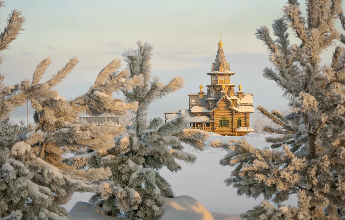 Фото обои зима, снег, деревья, пейзаж, природа, ели, церковь, ёлочки