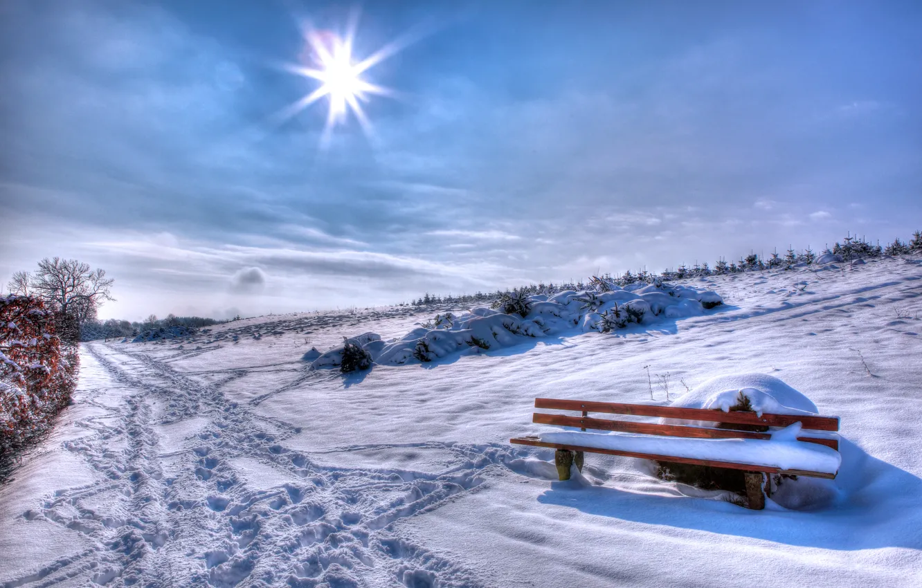 Фото обои зима, лучи, снег, Winter, скамья, Snow, Bench, Rays