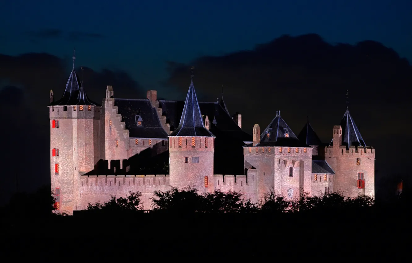 Фото обои ночь, огни, Нидерланды, замок Мёйдерслот