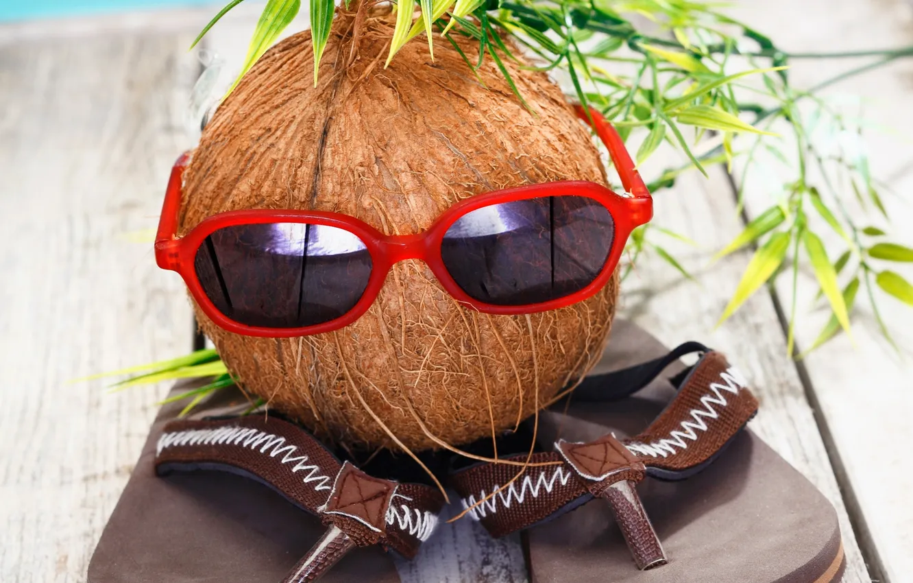 Фото обои очки, summer, holiday, funny, coconut, сланцы, vacation, кокосовый орех