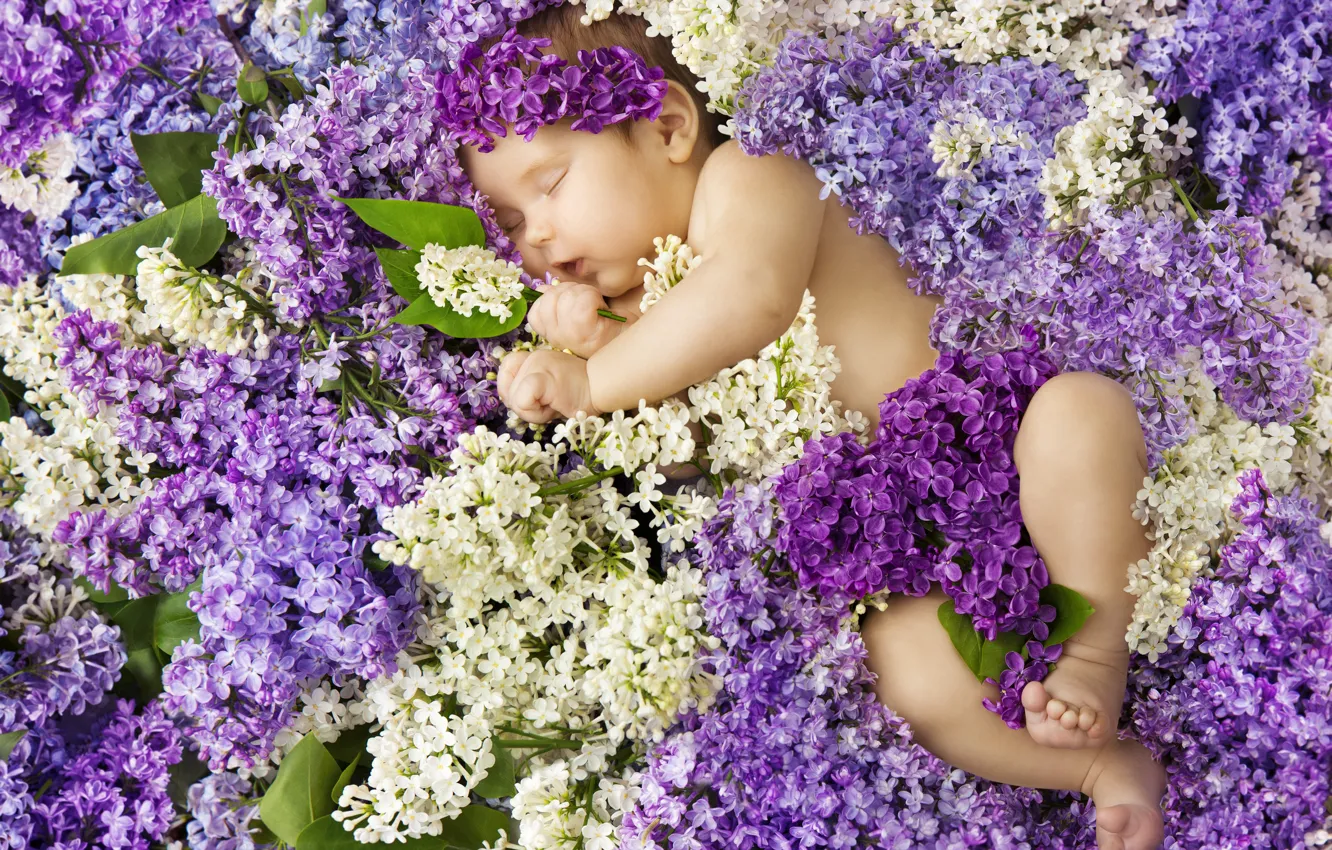 Фото обои цветы, сон, спит, девочка, малышка