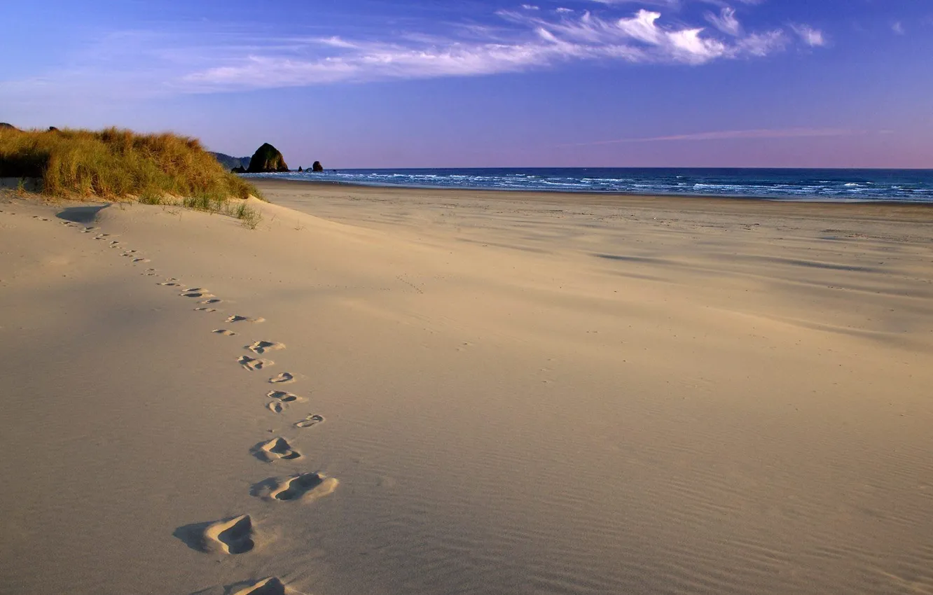 Фото обои песок, море, берег, Следы