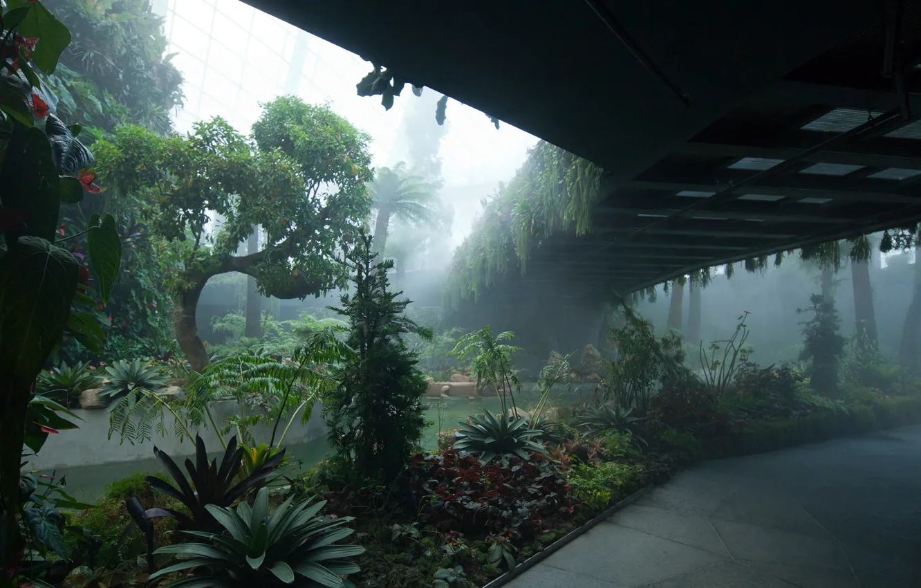Фото обои Сингапур, Singapore, ботанический сад, Gardens By The Bay, Cloud Forest