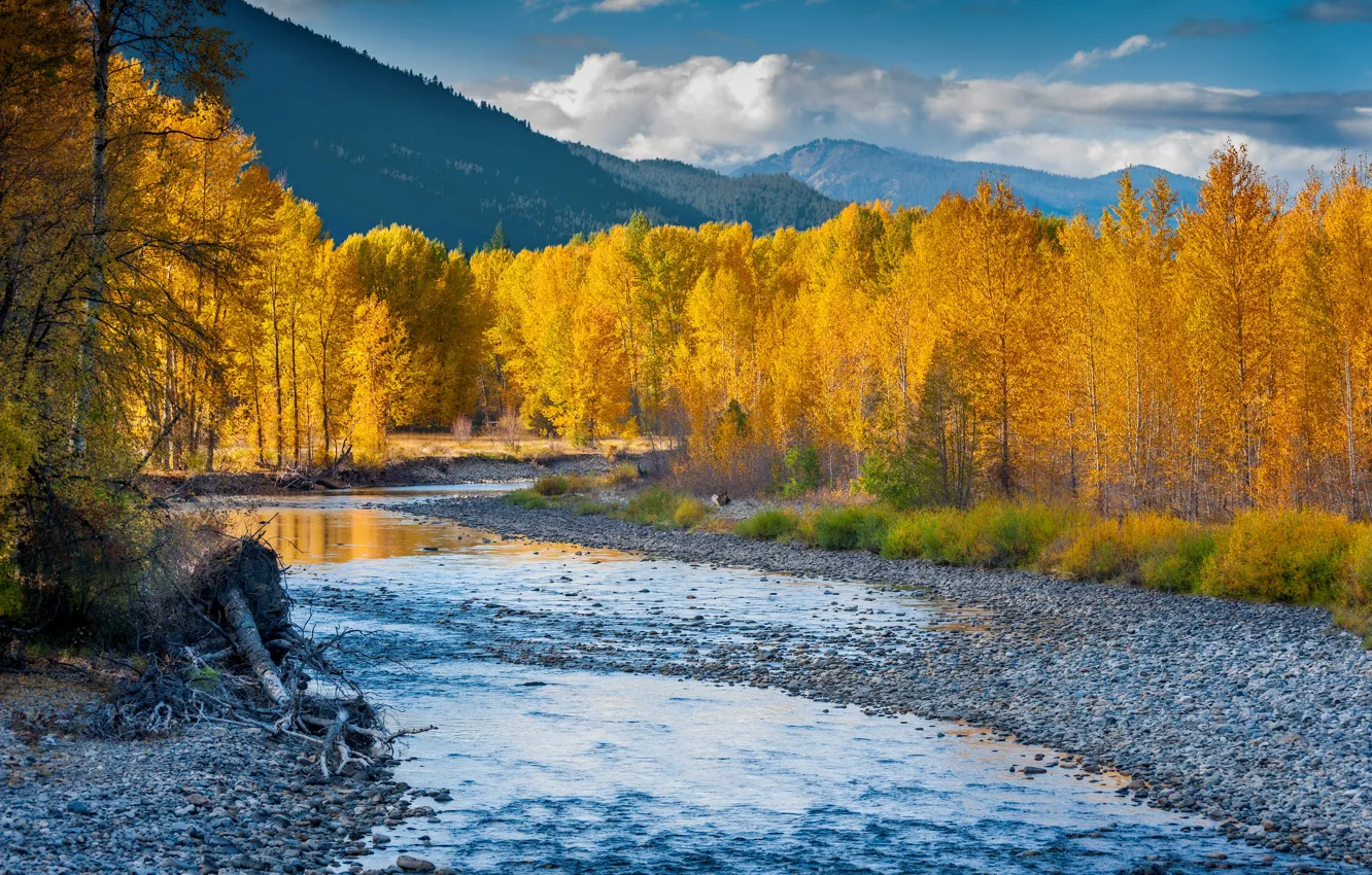Фото обои осень, лес, облака, деревья, горы, галька, ручей, берег