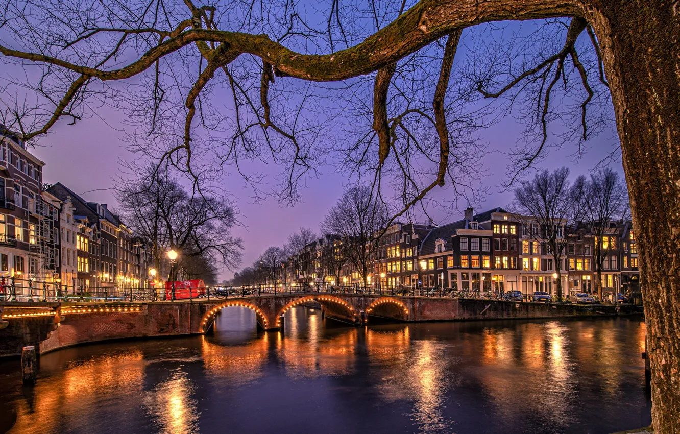 Фото обои мост, город, дерево, здания, дома, вечер, освещение, Амстердам