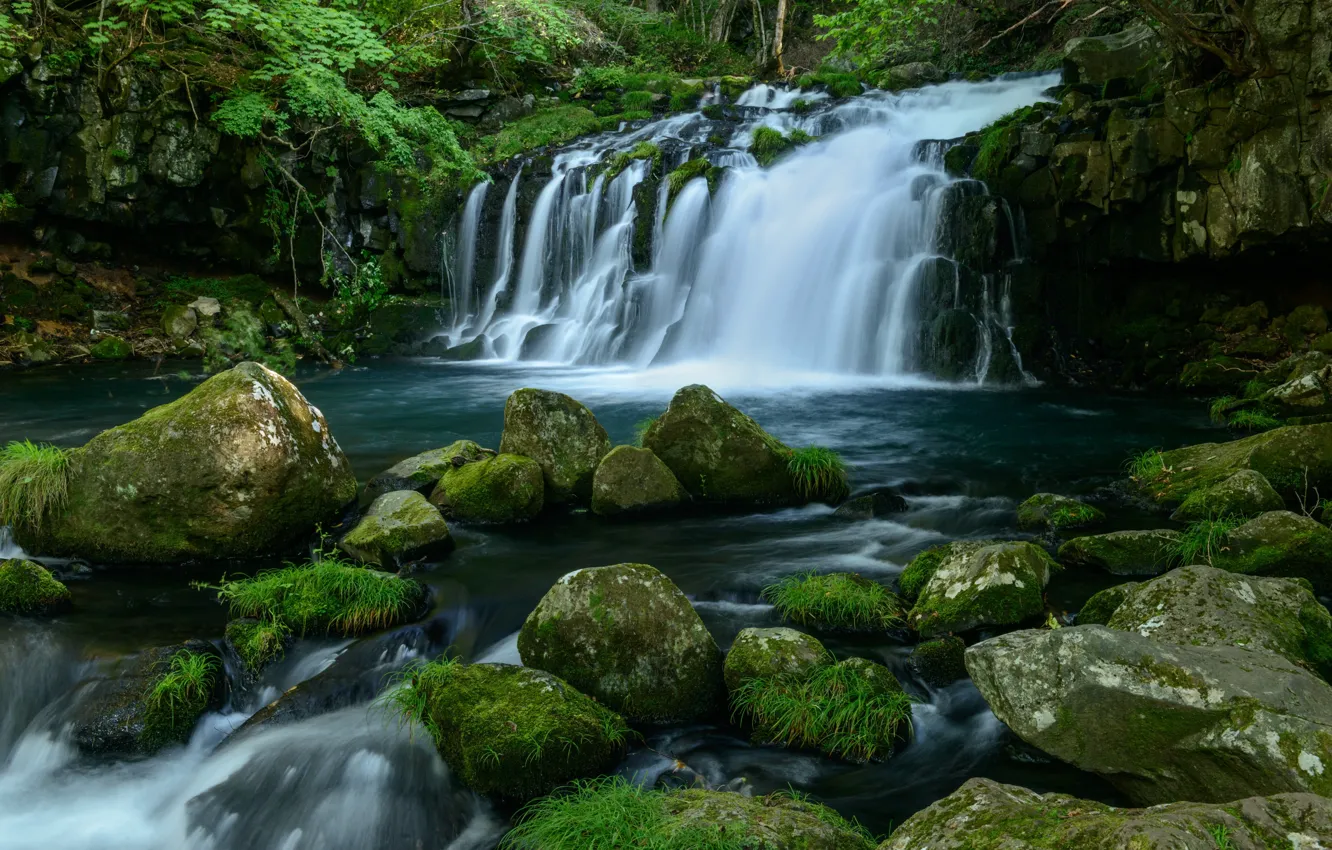 Фото обои зелень, вода, камни, водопад, мох
