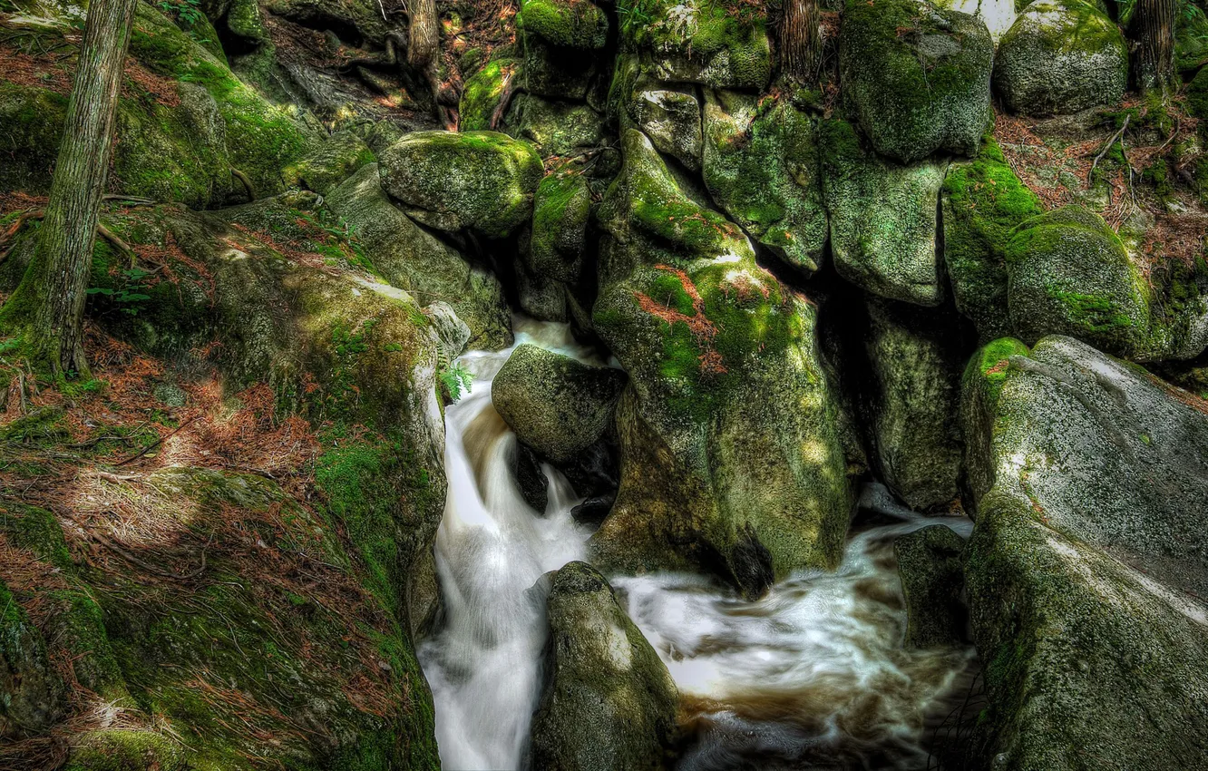 Фото обои река, ручей, камни, скалы, мох, поток
