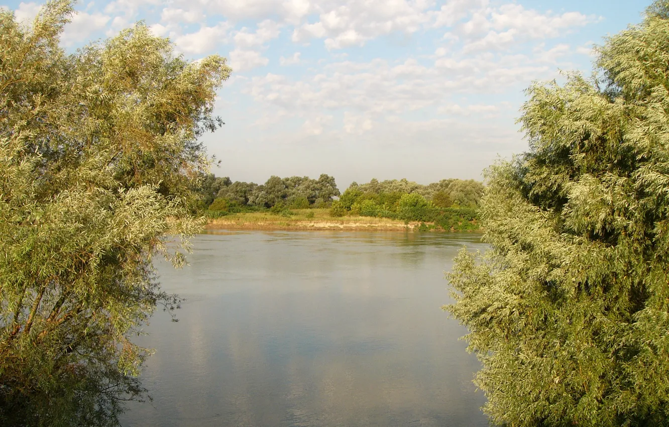 Фото обои лето, небо, река, Кубань, Ивы