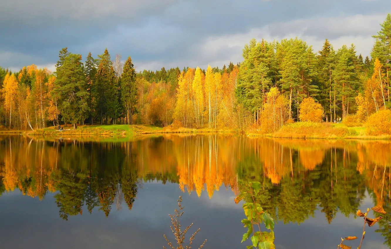 Фото обои осень, лес, небо, отражение, река