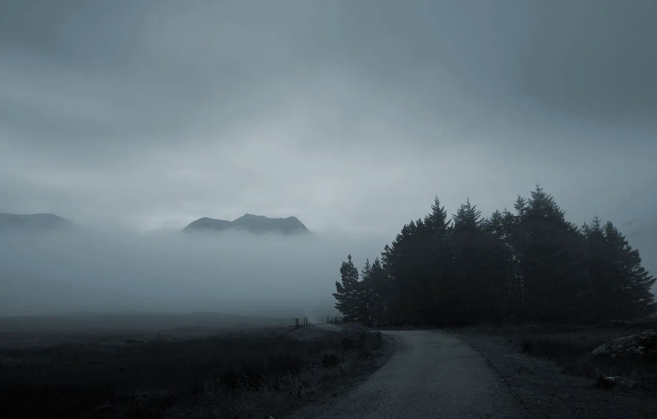 Фото обои дорога, лес, горы, туман