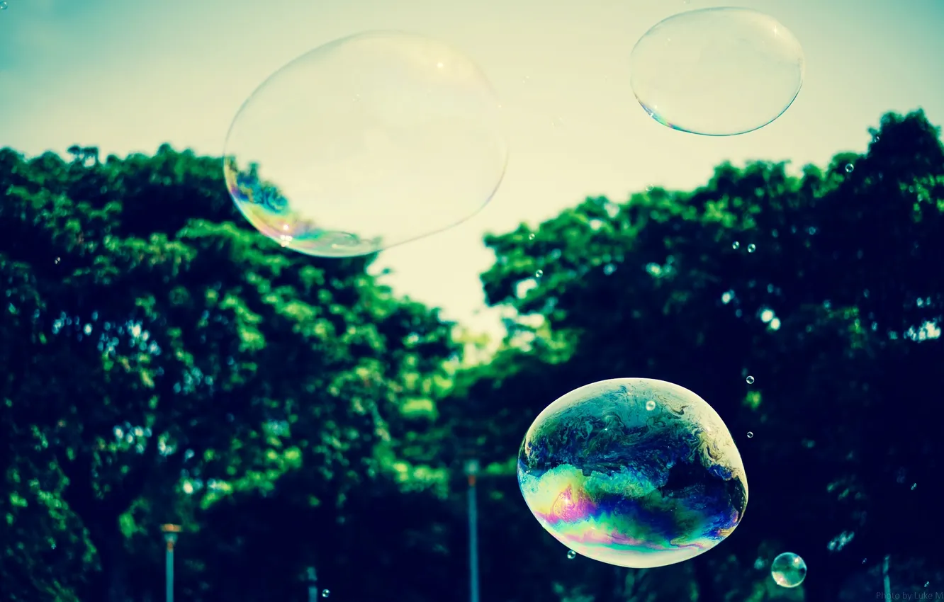 Фото обои пузыри, пузырь, мыльный