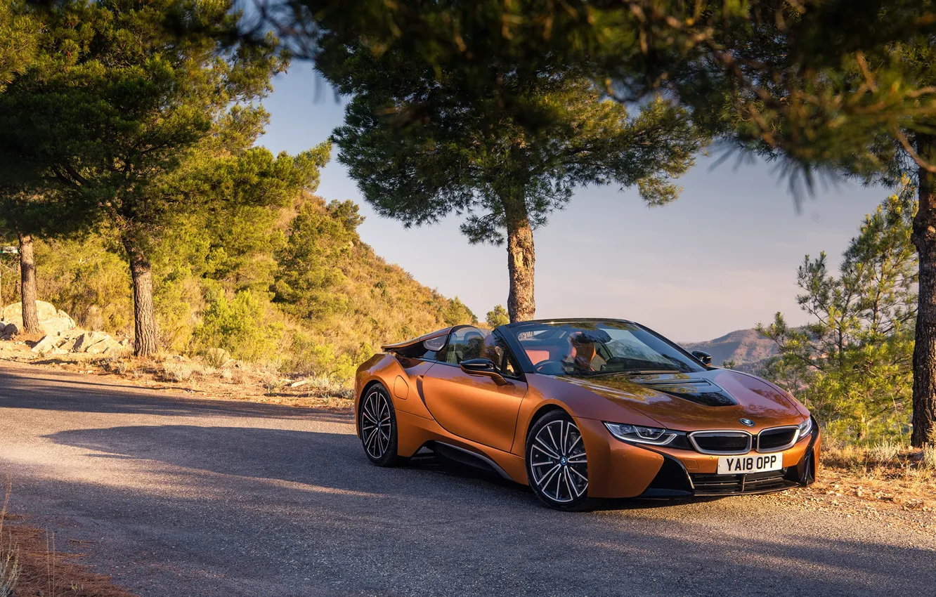 Фото обои авто, BMW, родстер, сосна