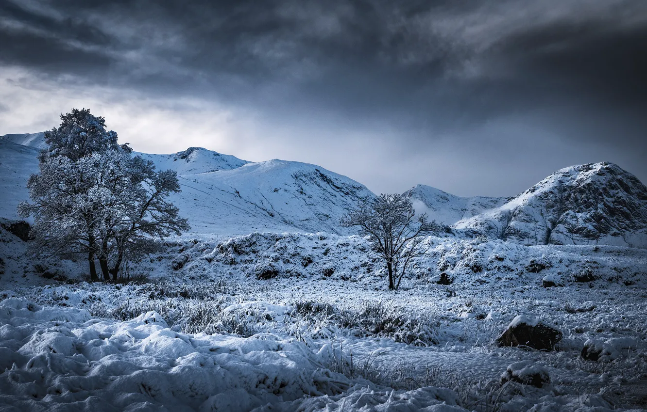 Фото обои зима, деревья, горы, долина, Шотландия, Scotland, Highland, Хайленд