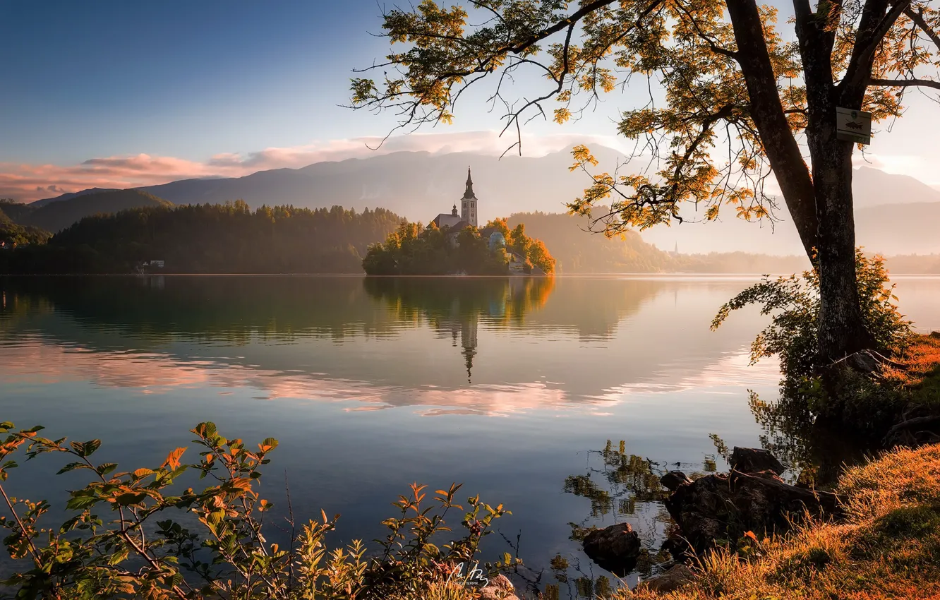 Фото обои morning, Lake Bled, Slovenia