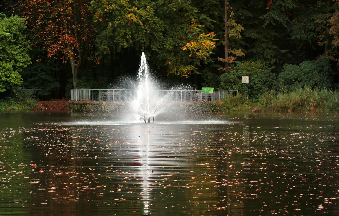 Фото обои осень, листья, отражения, деревья, природа, пруд, colors, фонтан
