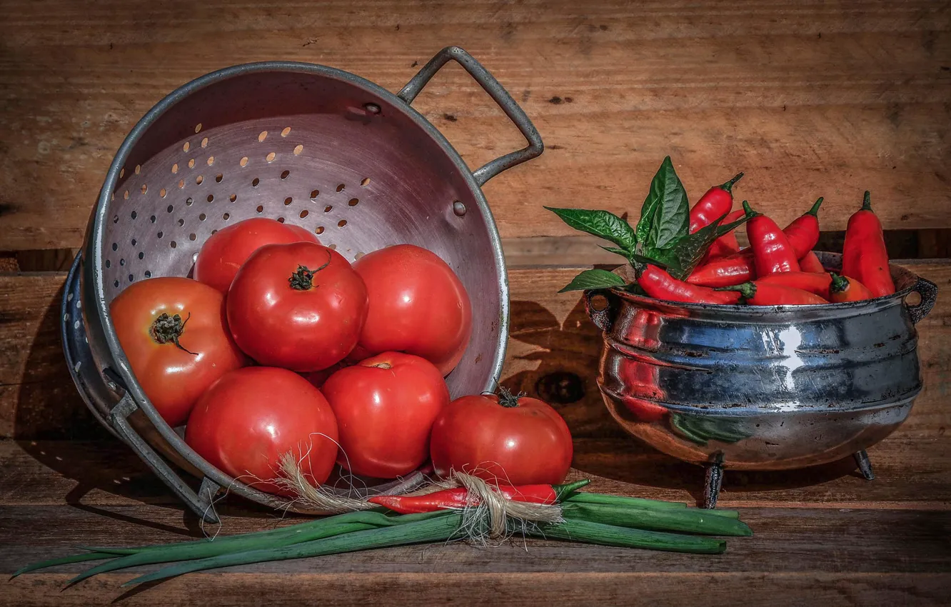 Фото обои лук, перец, помидоры, томаты