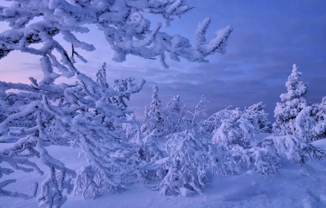 Фото обои зима, Снег, мороз, Россия, Мурманская область