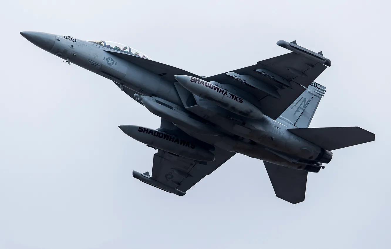 Фото обои самолёт, летит, боевой, F/A-18 Super Hornet, VAQ-141