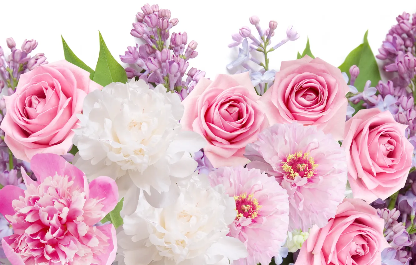 Фото обои цветы, розы, flowers, сирень, пионы, roses, peonies, lilacs