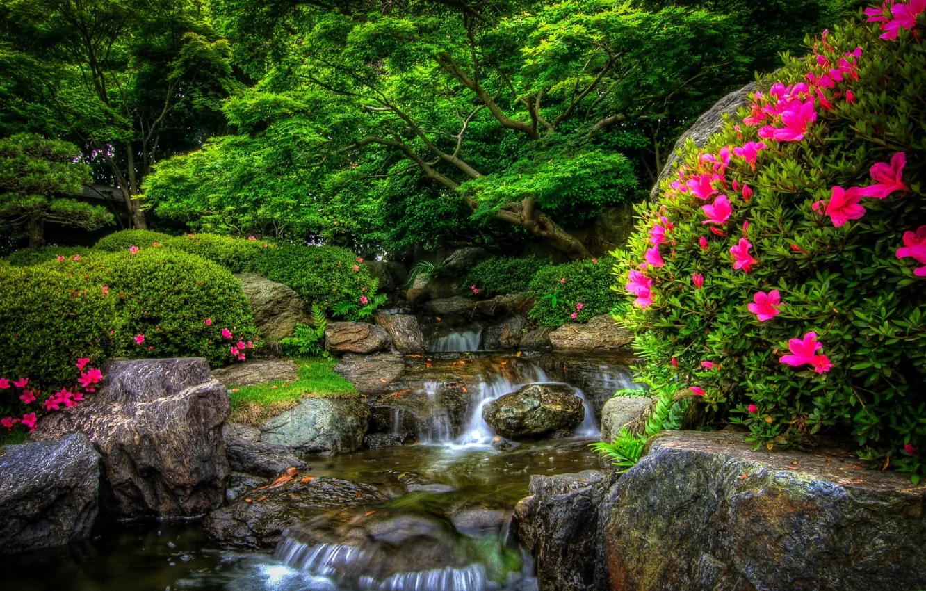 Фото обои лес, цветы, природа, парк, река, камни, forest, river