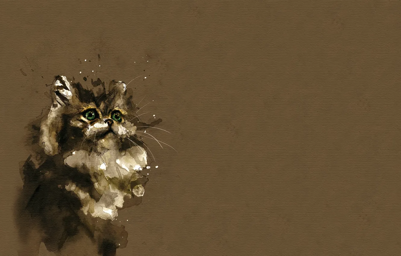 Фото обои animals, cat, painting, artwork, Florian Nicolle, watercolor, simple background, macro photography