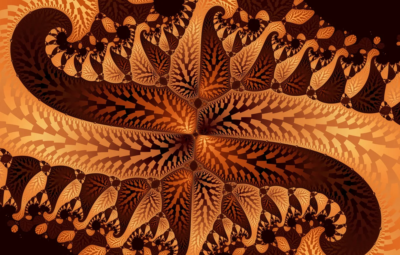Фото обои листья, узор, лепестки, фрактал, симметрия