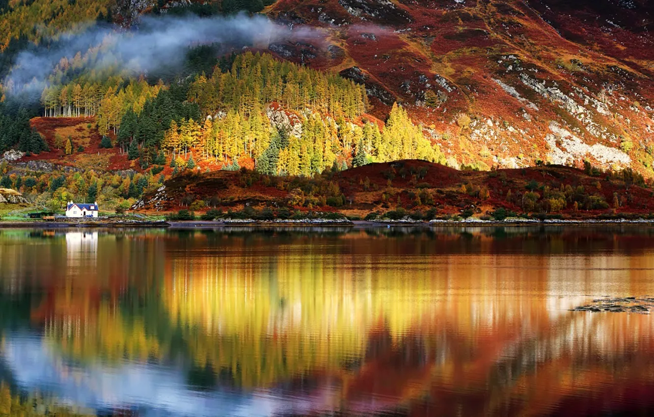 Фото обои forest, water, reflection, Sun's rays
