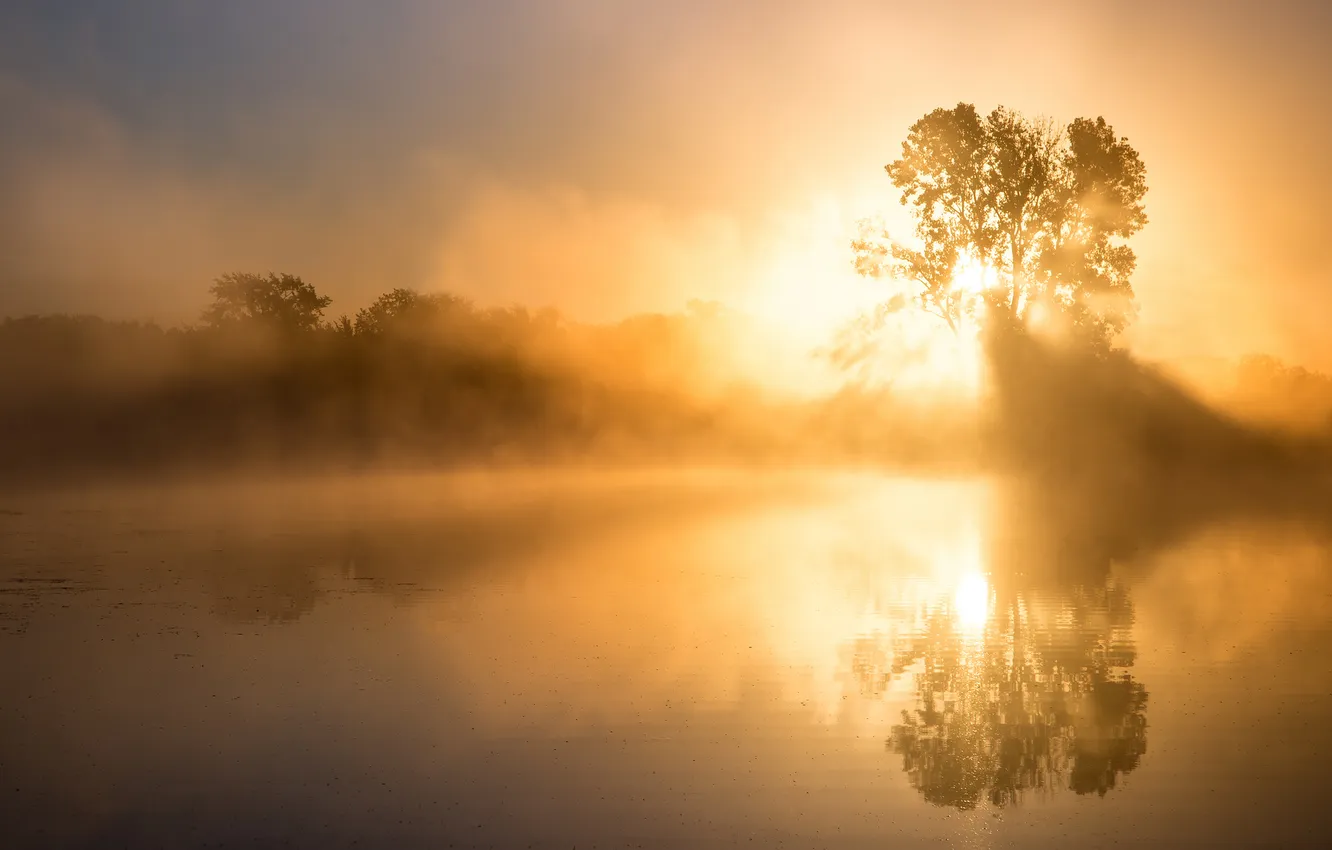 Фото обои природа, озеро, утро, дымка