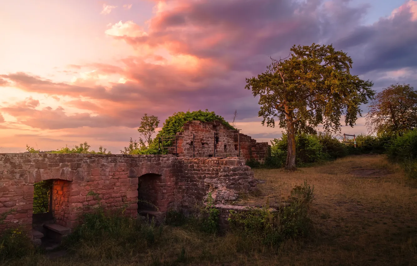 Фото обои дорога, осень, лето, небо, трава, облака, закат, природа