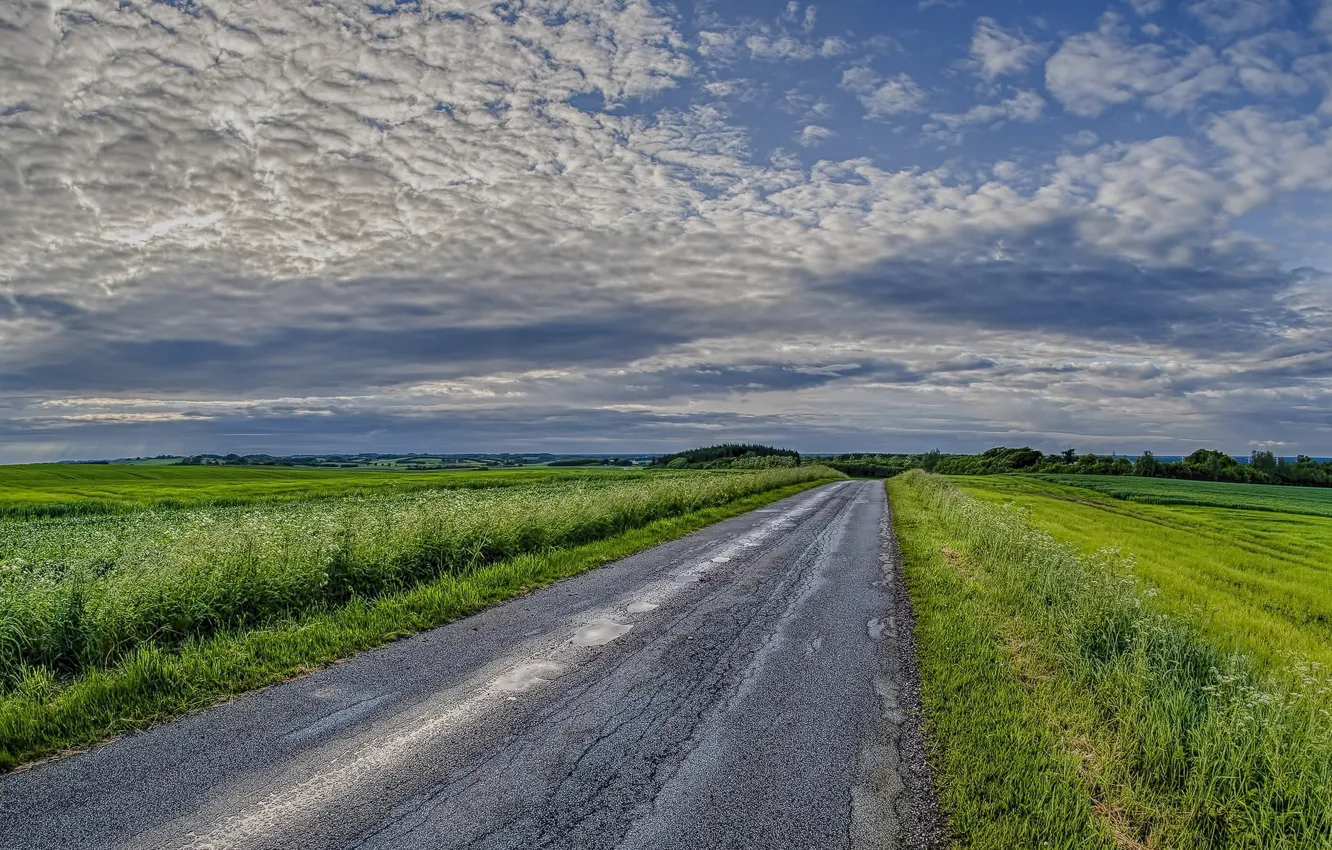 Фото обои дорога, поле, небо, пейзаж