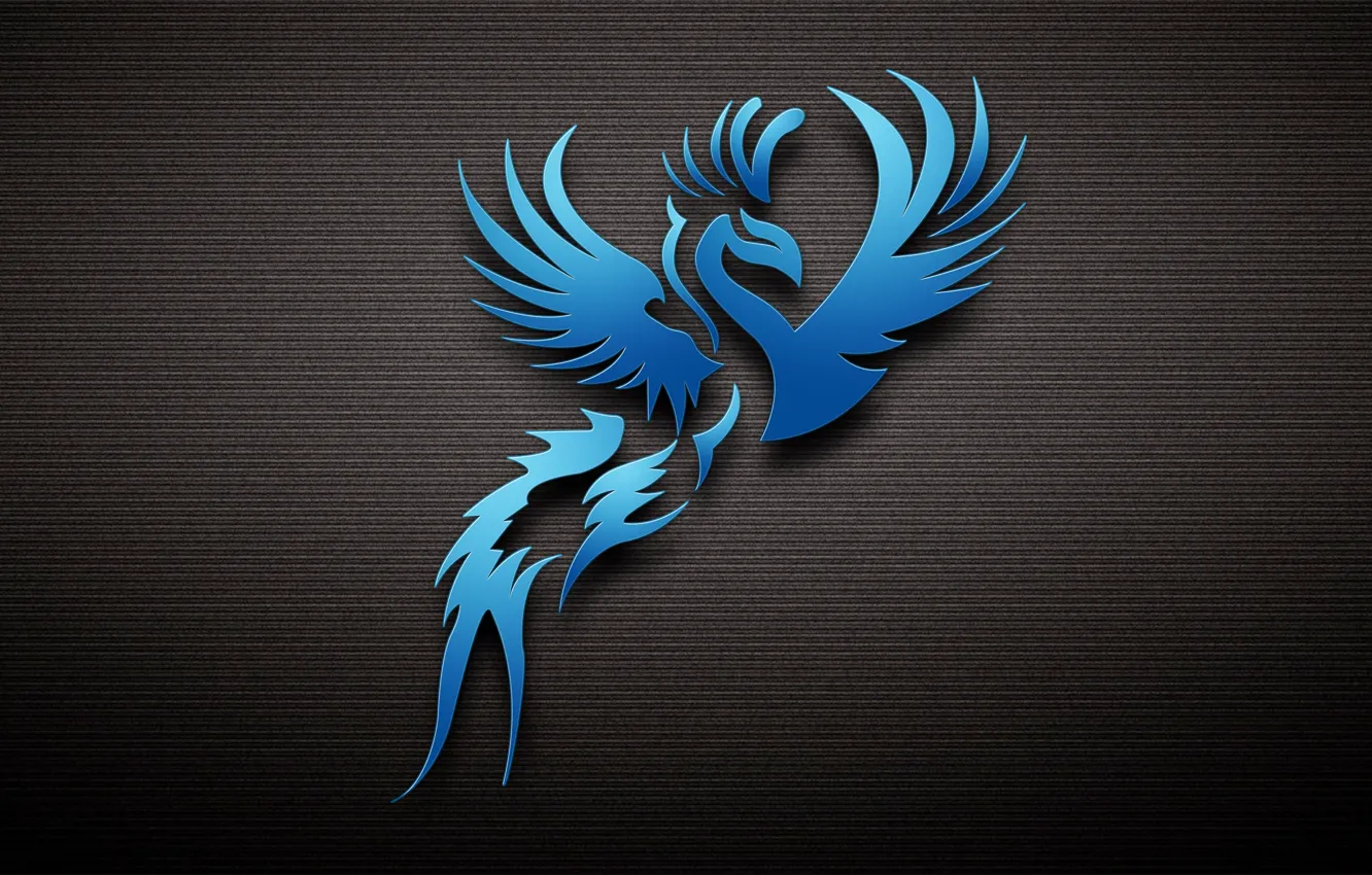 Фото обои птица, синяя, тёмный фон