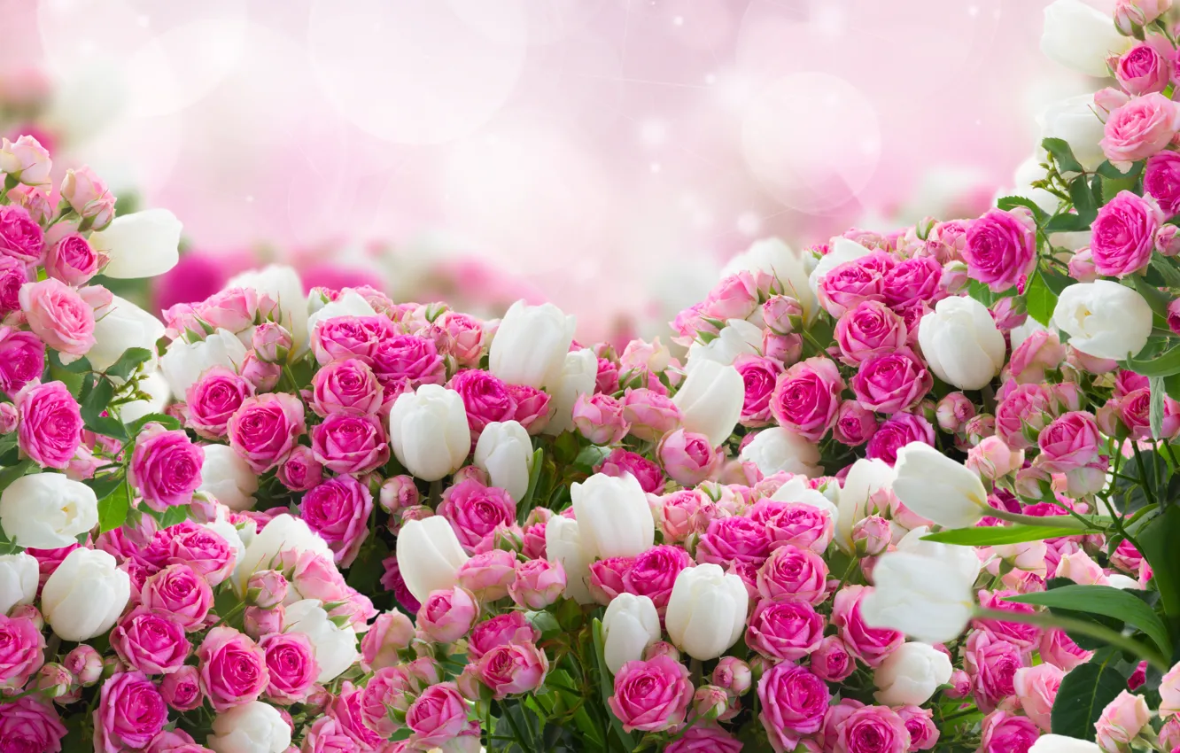 Фото обои цветы, розы, тюльпаны, листики