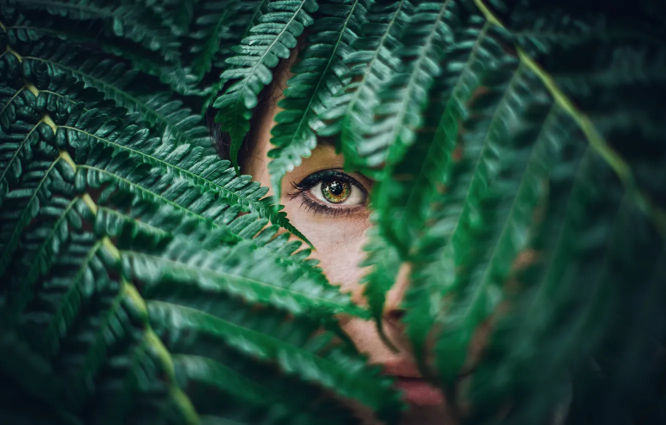 Фото обои woman, eye, plant