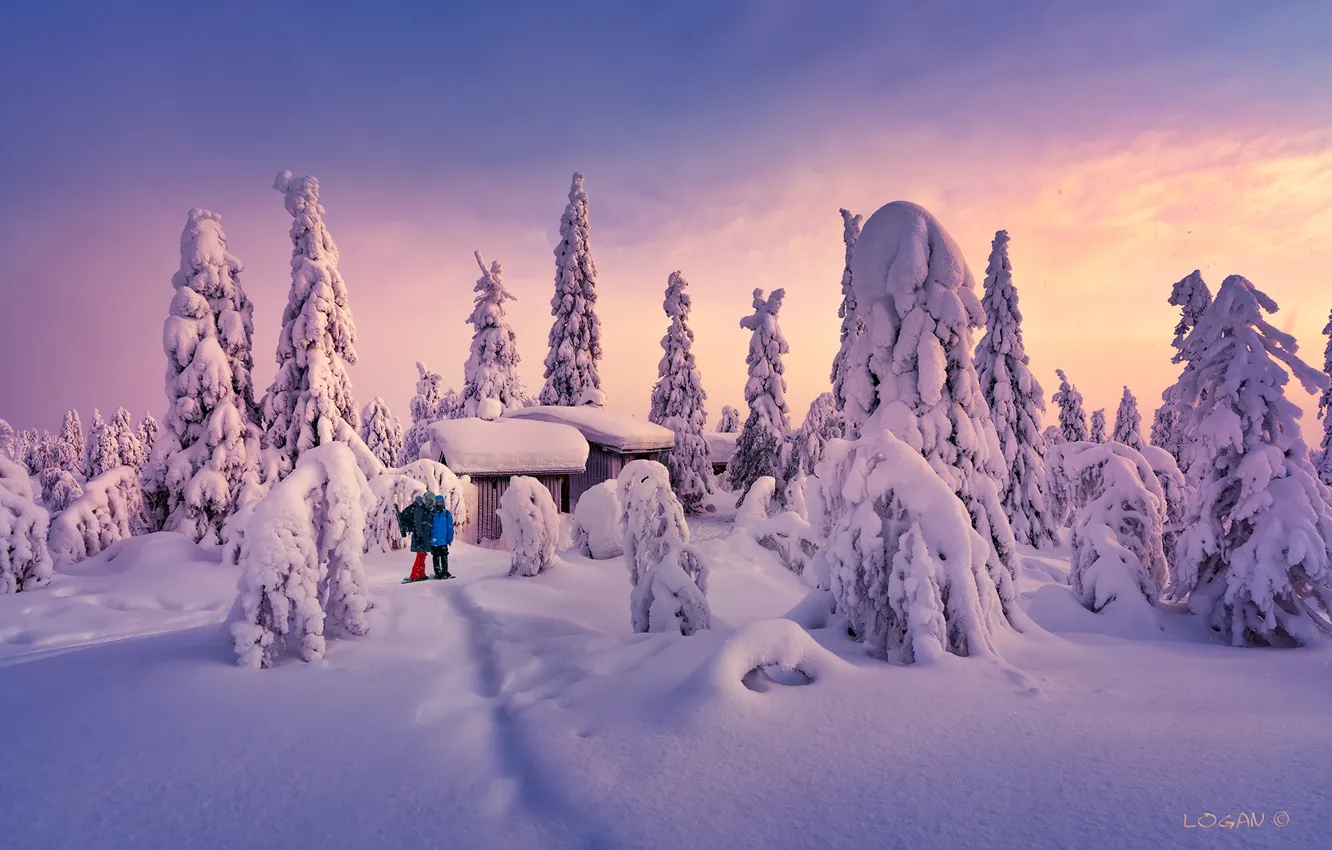 Фото обои зима, снег, деревья, ели, домик, парочка, тропинка, Финляндия