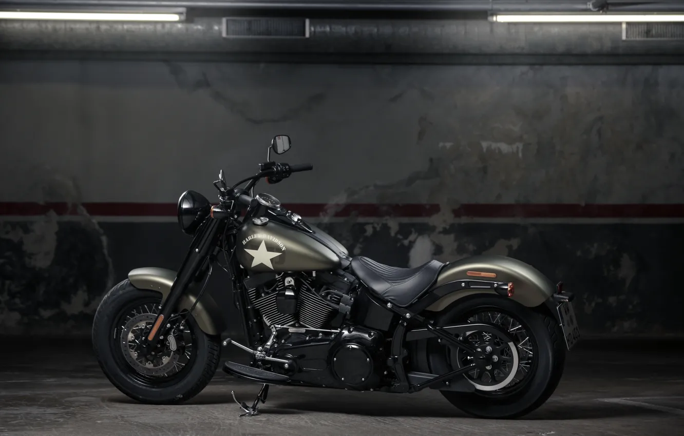 Фото обои moto, bike, power, american, Harley-Davidson, Slim, Softail, 2016