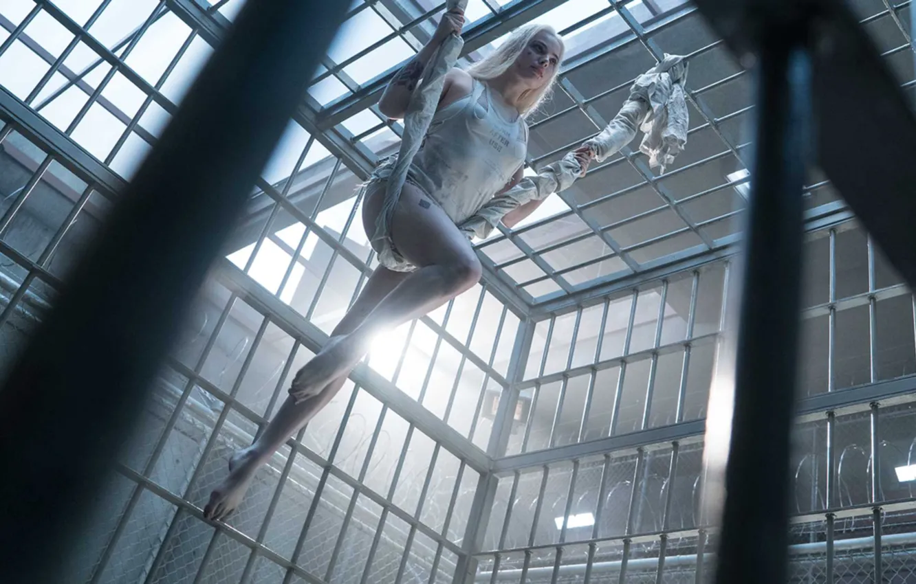 Фото обои Харли Квинн, Harley Quinn, Margot Robbie, Марго Робби, Suicide Squad, Отряд Самоубийц