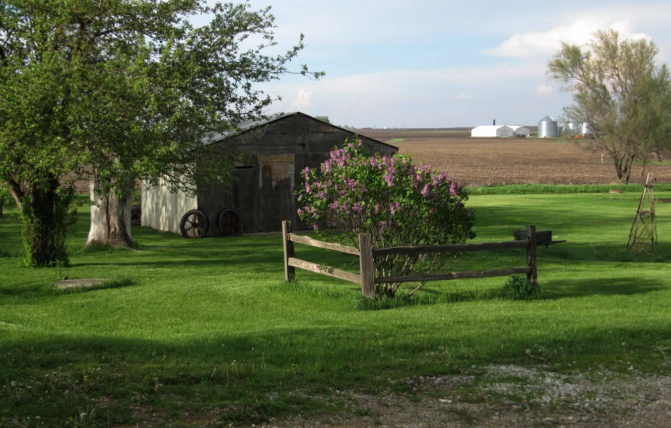 Фото обои поле, лето, summer, Nature, field