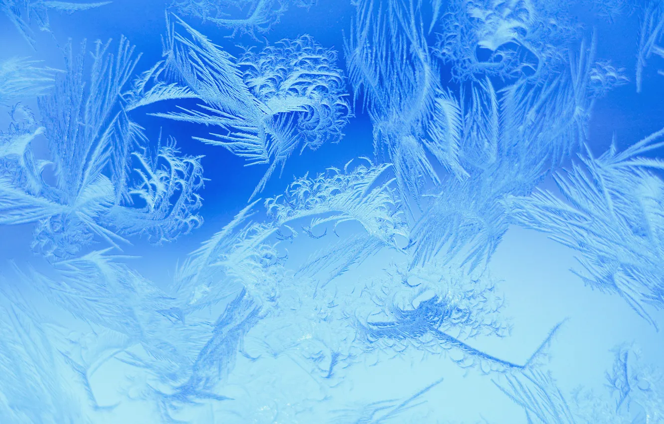 Фото обои зима, снежинки, узор, мороз, winter, froze, Snow crystals