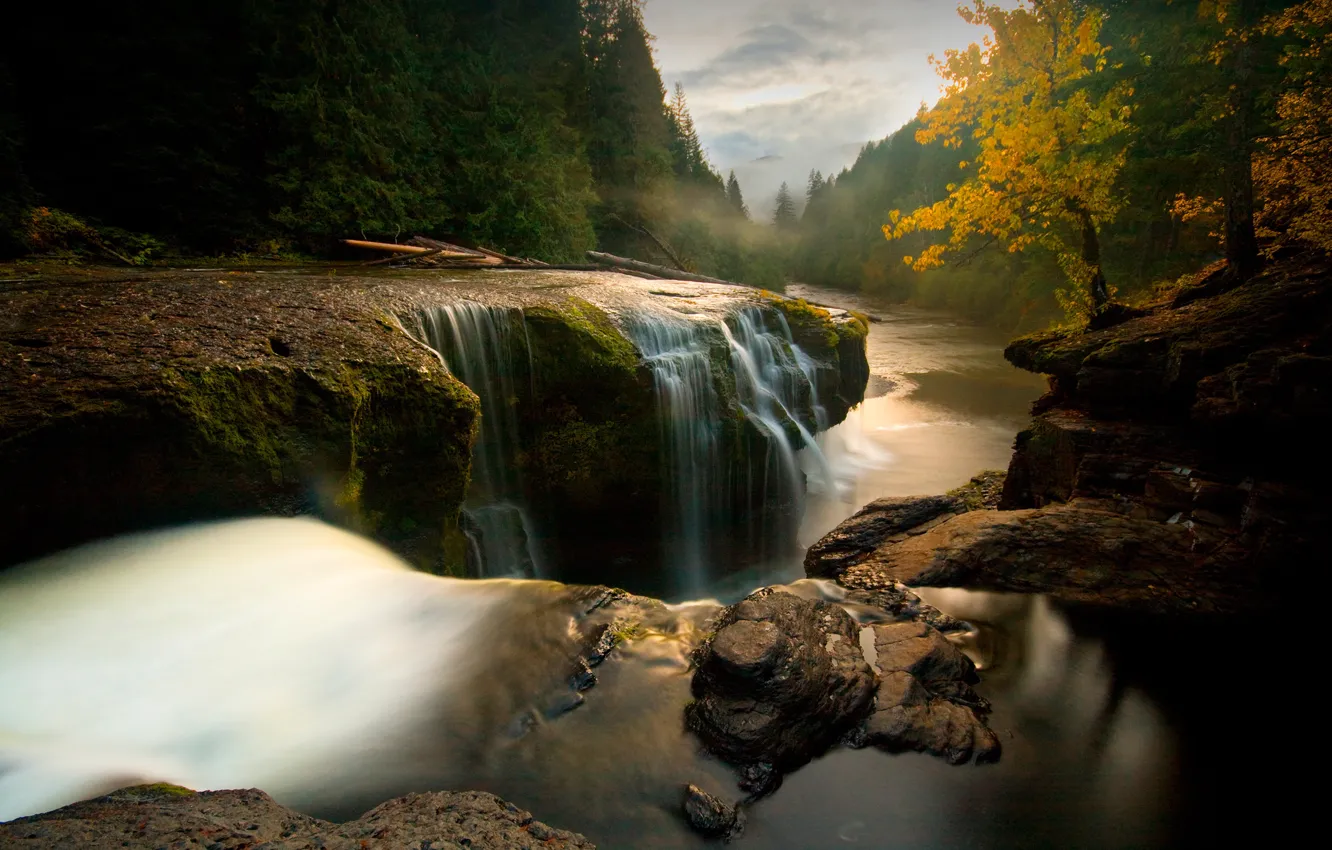 Фото обои осень, лес, деревья, горы, туман, река, камни, водопад
