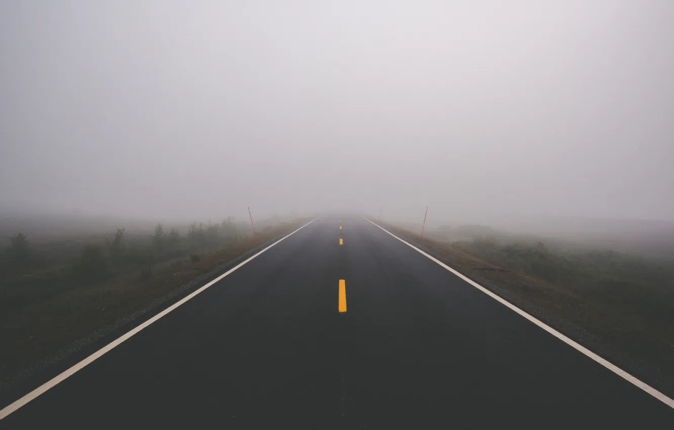 Фото обои дорога, поле, туман, загадка