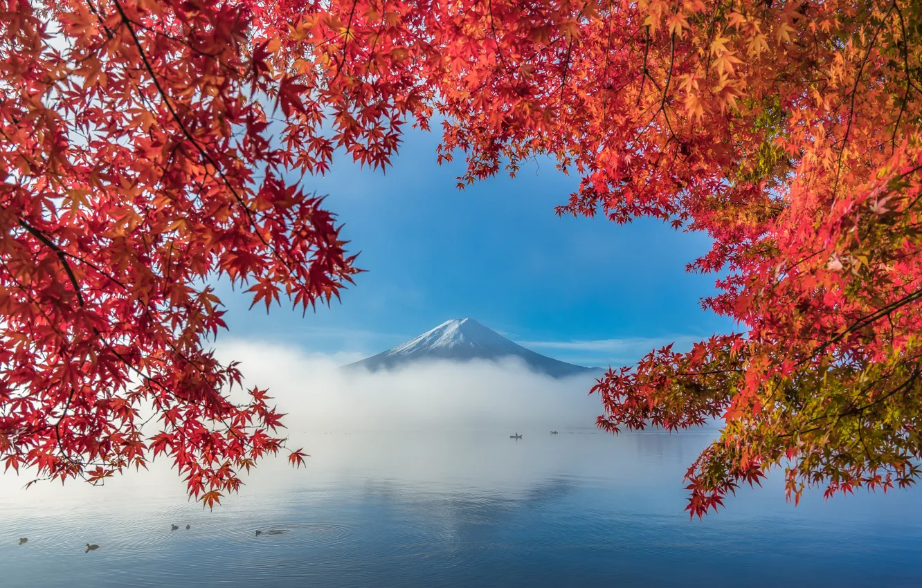Фото обои осень, листья, деревья, озеро, гора, Фудзи, trees, autumn