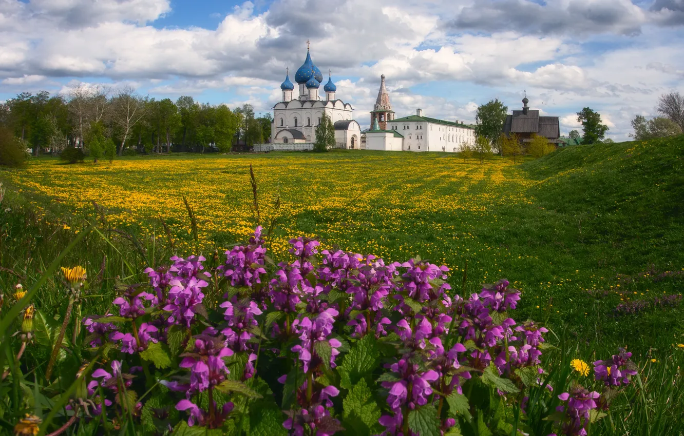 Фото обои поле, цветы, церковь