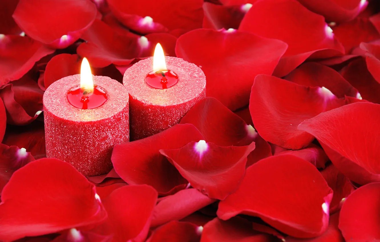 Фото обои любовь, сердце, розы, свечи, лепестки, love, heart, romantic