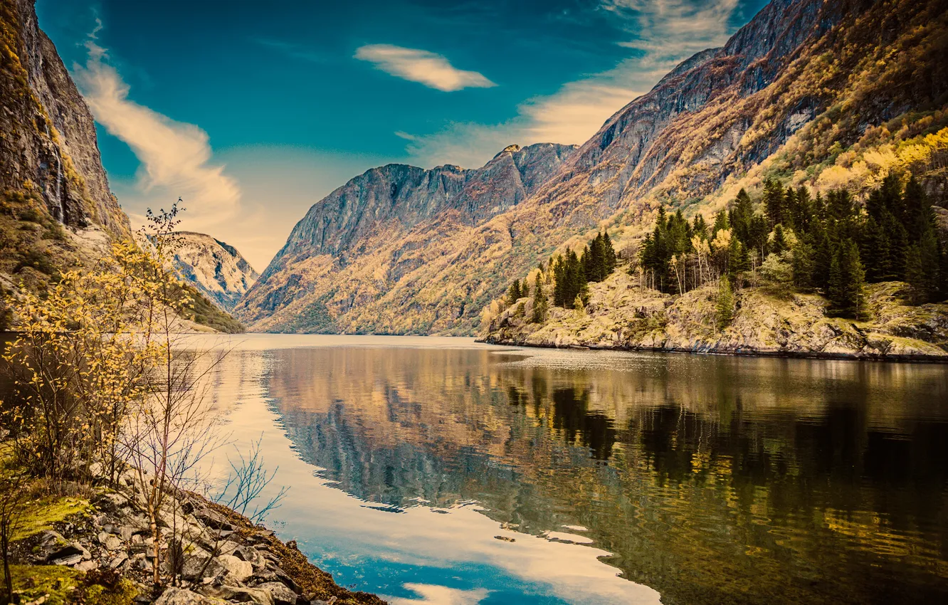 Фото обои лес, горы, природа, озеро, Норвегия, Sogn og Fjordane Fylke, Gudvangen