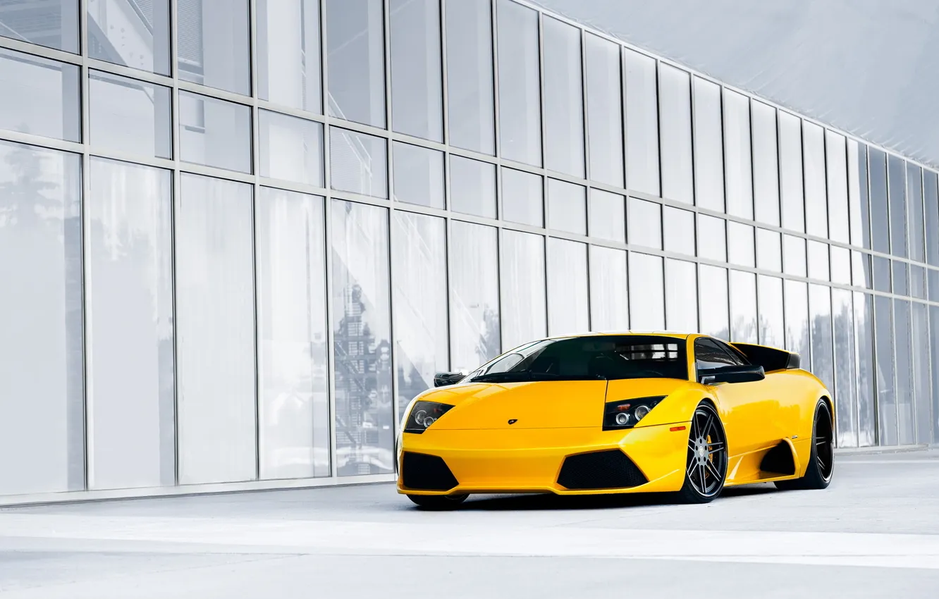Фото обои желтый, суперкар, Lamborghini Murcielago, ламборгини, мурсиелаго