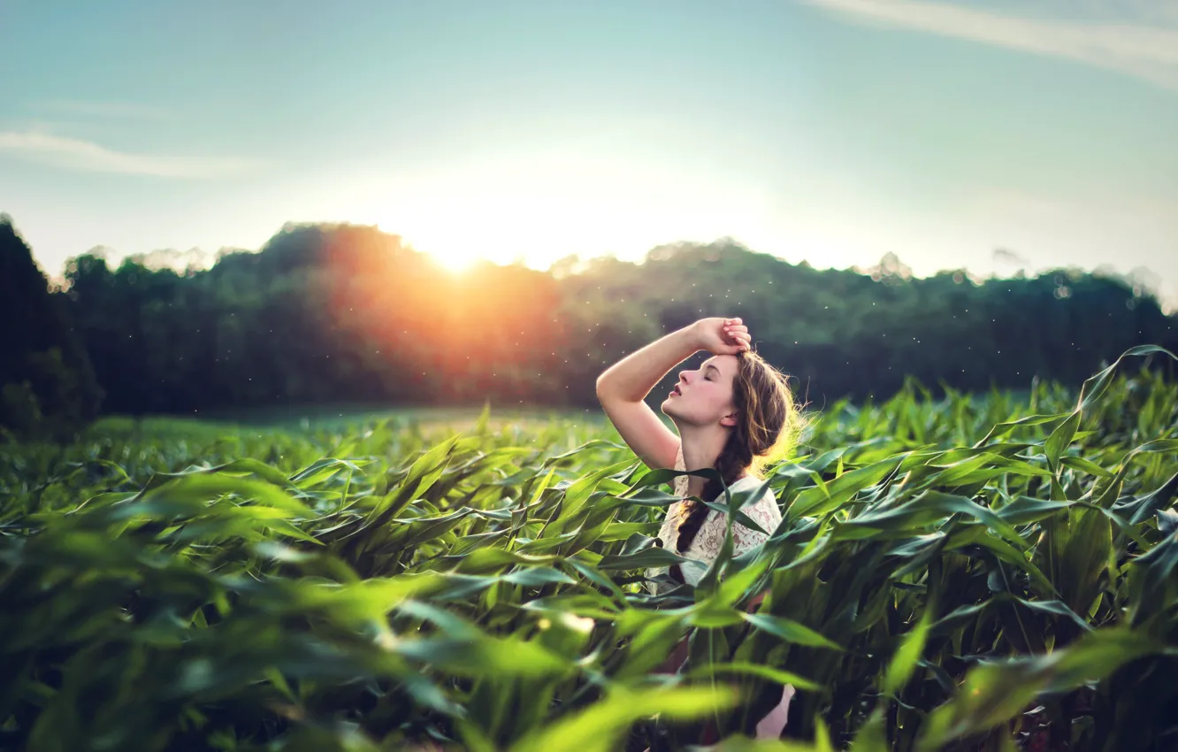 Фото обои model, women, sunlight, outdoor, looking at viewer, women outdoors, ssitting