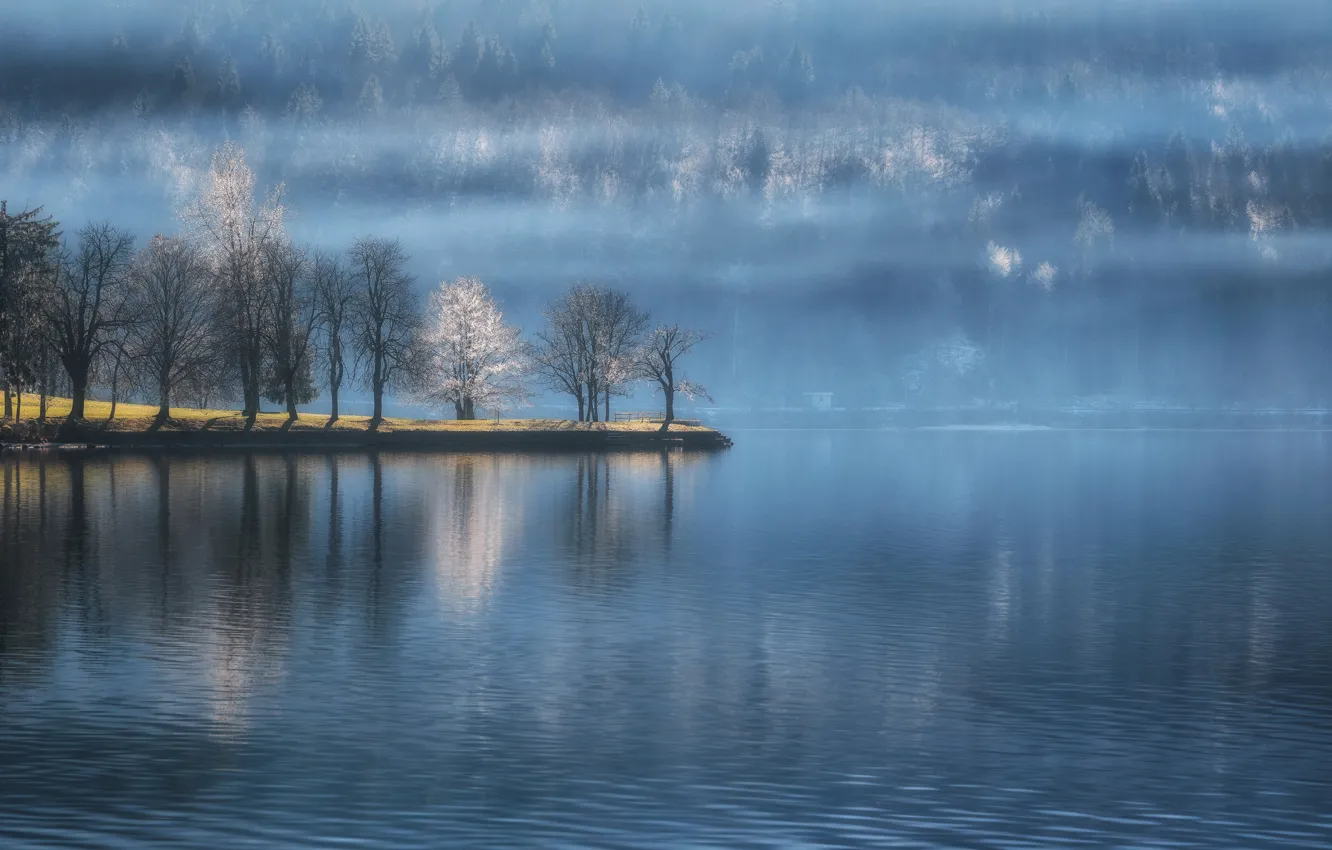 Фото обои лес, вода, деревья, озеро, Словения, Slovenia, Lake Bohinj, Бохиньское озеро