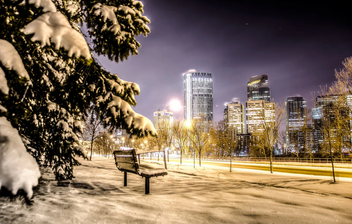 Фото обои ночь, город, скамья, Calgary